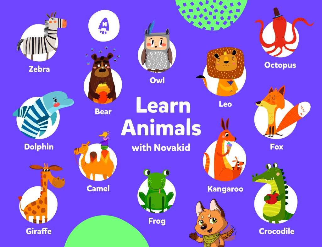 Aprende los animales con Novakid