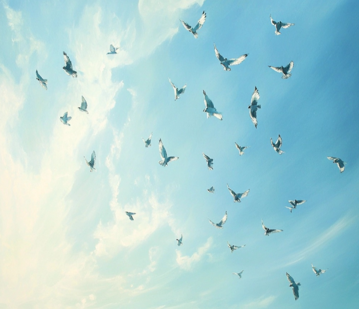 Pájaros sobrevolando en el cielo
