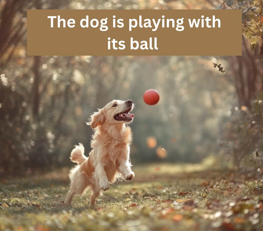Un perro jugando con una pelota en un parque.