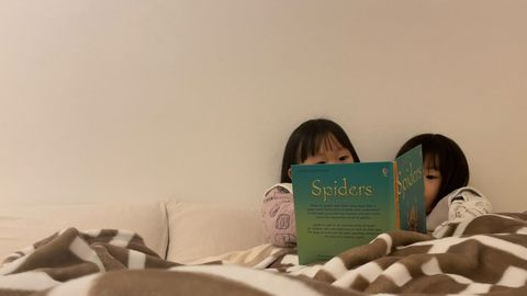 英語絵本を読む姉妹