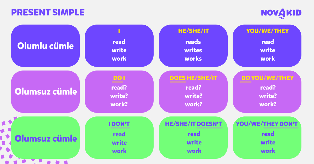 Simple present tense konu anlatımı